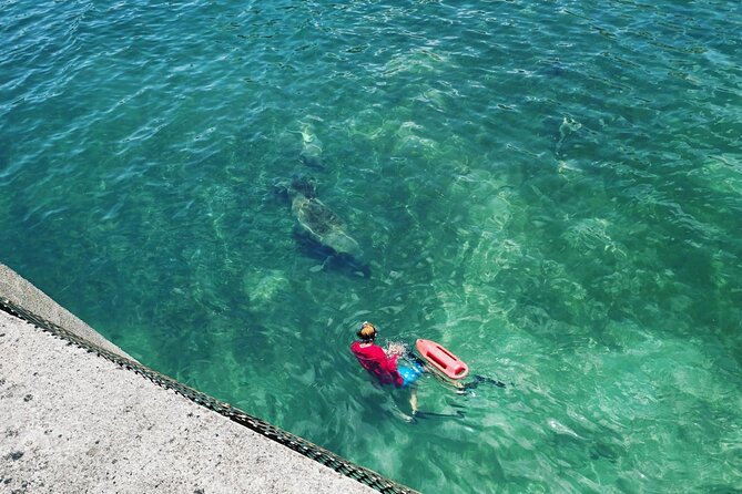 San Juan Snorkel with Turtles and Manatee's; Free Video and Rum! - FAQs