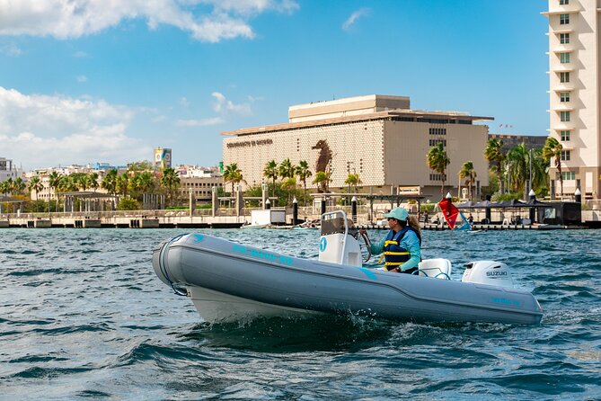 San Juan Mini Boat Tour - What’s Included & What’s Not