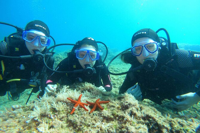 PADI Discover Scuba Diving in Dubrovnik - The Sum Up