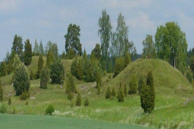 Private Tour: Swedish Iron Age Excursion from Stockholm 3h - Practical Tips