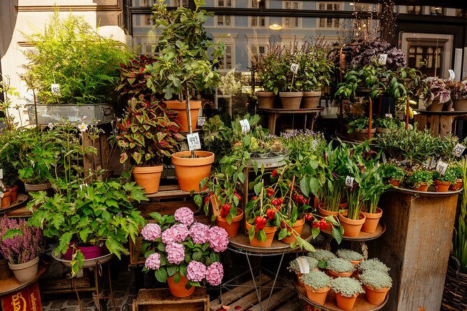 Private 90-Minute Walking Tour in Stockholm - The Value of This Tour