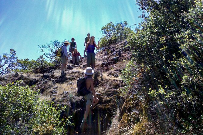 Wine & Wellness Tour in Napa Valley - Final Thoughts