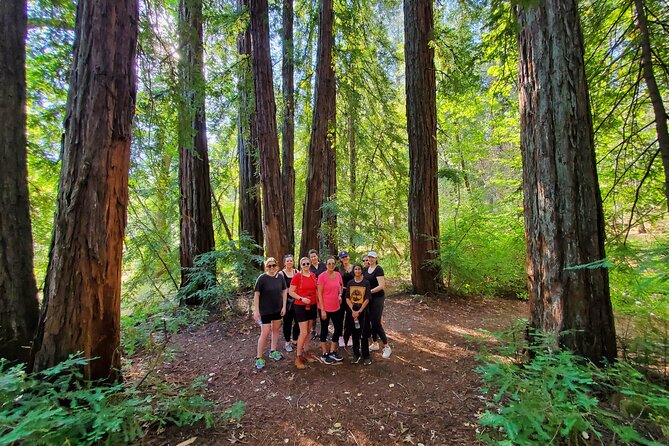 Napa Valley Redwood Hike - Frequently Asked Questions