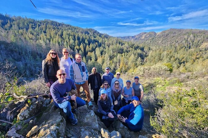 Napa Valley Redwood Hike - An In-Depth Look at the Napa Valley Redwood Hike