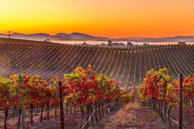San Francisco Airport Private Transfer to Napa Valley - FAQs