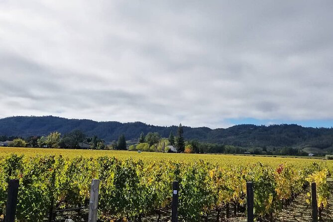 Private Wine Tour of Napa Valley - Why This Tour Stands Out