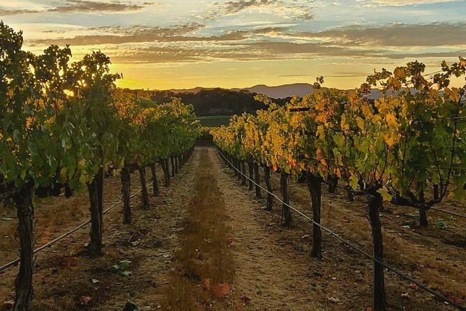 Discover Sonoma's Natural Wineries in Small-Group Tour - FAQs