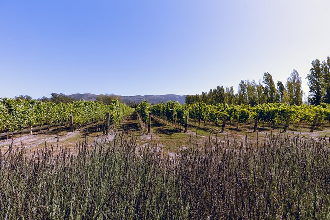 Private Luxury Transportation Experience - Sonoma - FAQs