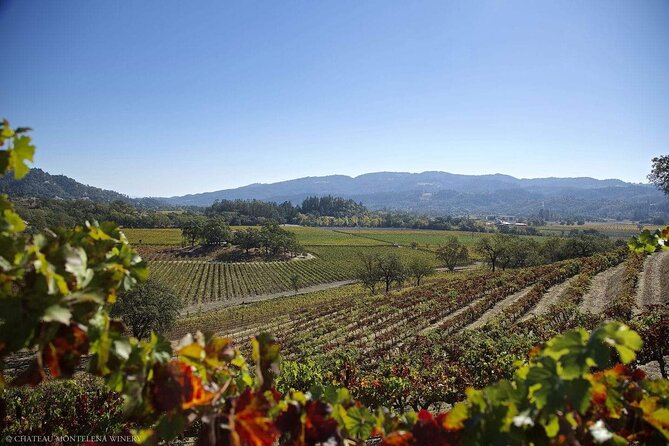 Private Limo Wine Tours in Sonoma and Napa Valley - FAQs