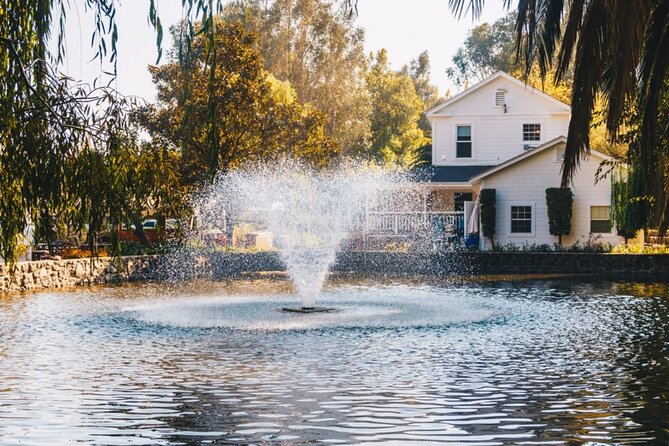 Private Limo Wine Tours in Sonoma and Napa Valley - The Experience Provider: Elegant Limousine