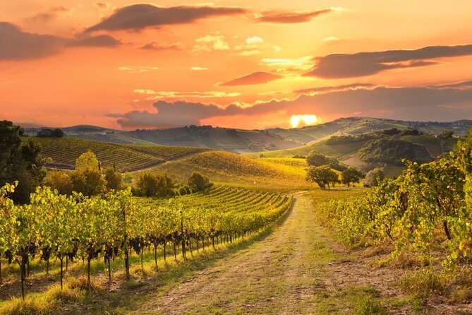 Best of Sonoma Scenic Tour (Join In) - Exploring the Best of Sonoma on a Scenic Tour