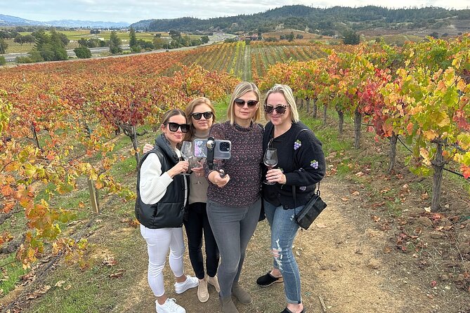 Napa Valley Mountainside Small Group Winery Tour - Who Should Consider This Tour?
