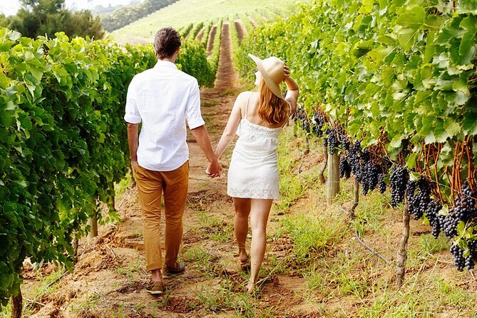 6hr | 12 Passenger Mercedes Limo Sprinter Bus - Why Choose This Tour?