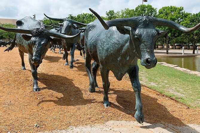 Welcome to Dallas: Private Half-Day Walking Tour - FAQ
