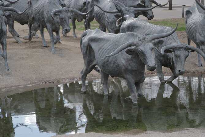 Hop On Hop Off Dallas Tour - Final Thoughts: Is This Tour Right for You?