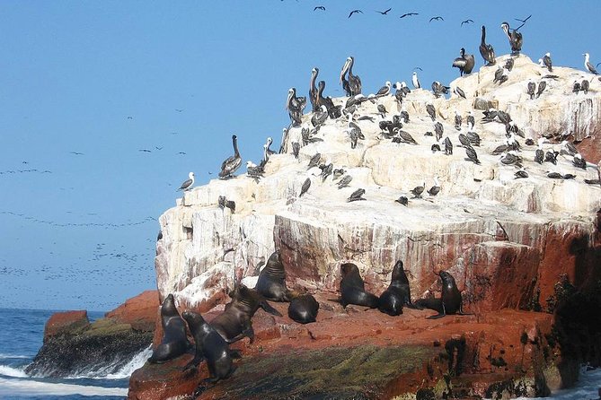 Ultimate Comfort: Lima to Huacachina, Ballestas and Vineyard - Final Thoughts