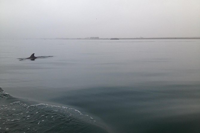 Ultimate Comfort: Lima to Huacachina, Ballestas and Vineyard - FAQs