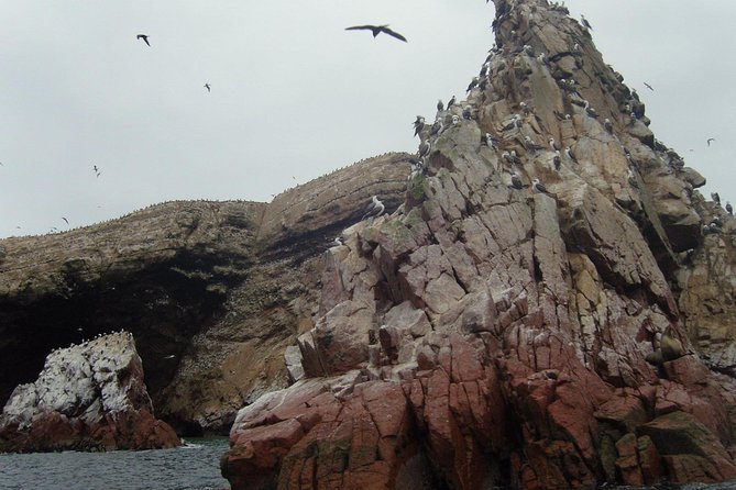 Ultimate Comfort: Lima to Huacachina, Ballestas and Vineyard - Who Is This Tour Best For?