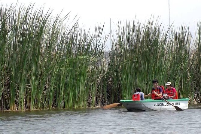 Private and exclusive Nature and Trek in Chorrillos - Practical details and what to expect