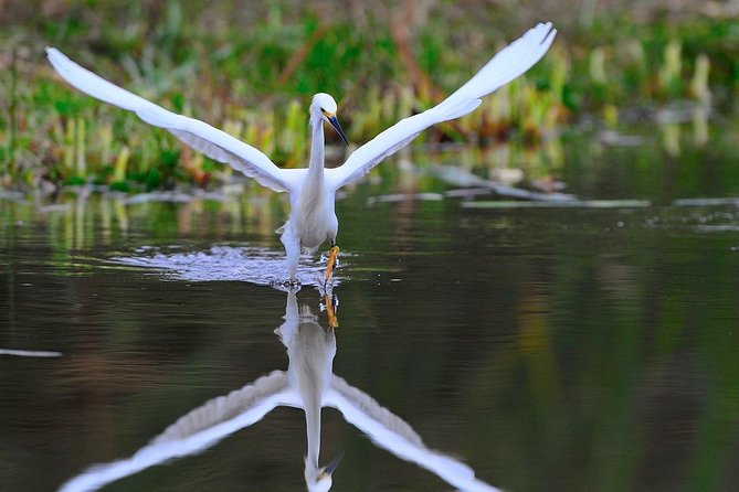 Private and exclusive Nature and Trek in Chorrillos - Private and exclusive Nature and Trek in Chorrillos: A deep dive into Lima’s wetlands and coastal charm