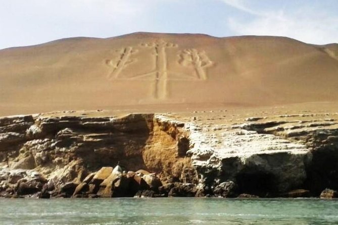 Ballestas Islands, National Reserve of Paracas, Nazca Lines & Huacachina oasis - Key Points