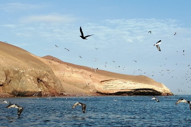 Private Tour to Ballestas Islands, Ica and Huacachina Including Sandboarding - An In-Depth Look at the Tour Experience