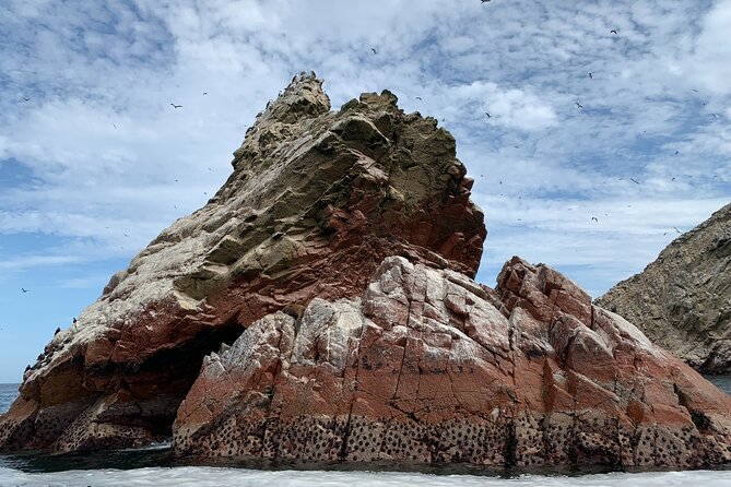 Private Tour to Ballestas Islands, Ica and Huacachina Including Sandboarding - Who Would Love This Tour?