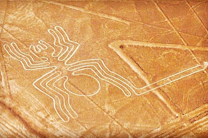 Private Tour to the Astonished Nazca Lines and Huacachina Oasis - Key Points