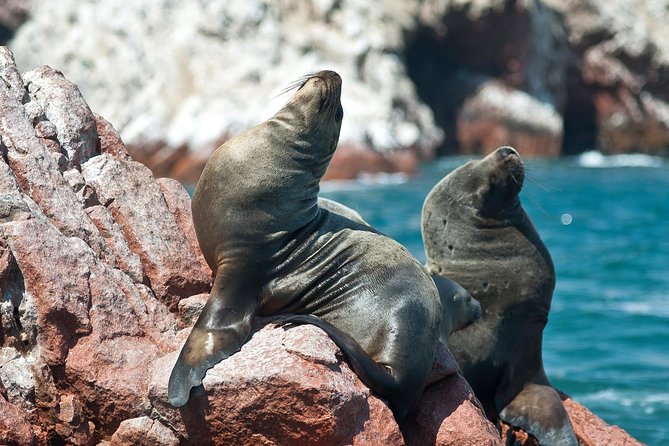 8-Day Enigmas of Peru - FAQ