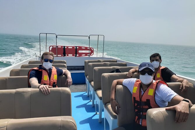 Private Tour to spot Sea Lions in Palomino Islands From Lima - FAQs