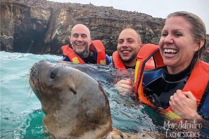Private Tour to spot Sea Lions in Palomino Islands From Lima - Discover the Palomino Islands: Swimming with Sea Lions in Lima