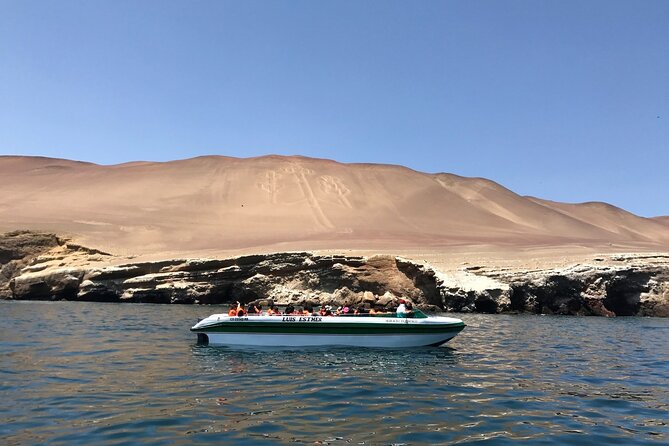 From Lima: All-Inclusive Day trip to Paracas & Huacachina Oasis - Exploring the Tour in Detail