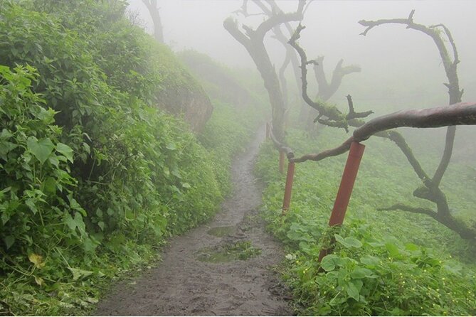 Hiking in Lima, Lomas de Lachay - An Authentic Experience That’s Worth It