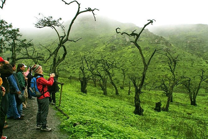 Hiking in Lima, Lomas de Lachay - FAQs