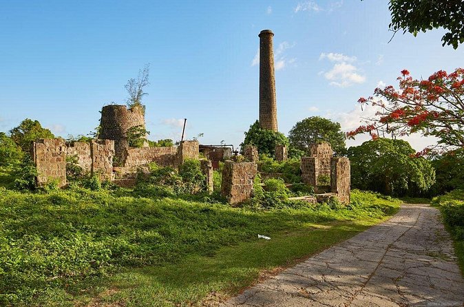 Nevis Island Half-Day Tour - Who Will Enjoy This Tour?