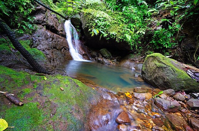 St. Kitts Half-Day Rainforest Tour - Final Words