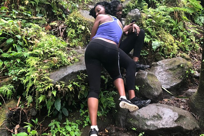 Mount Liamuiga Volcano Tours - The Value of This Experience