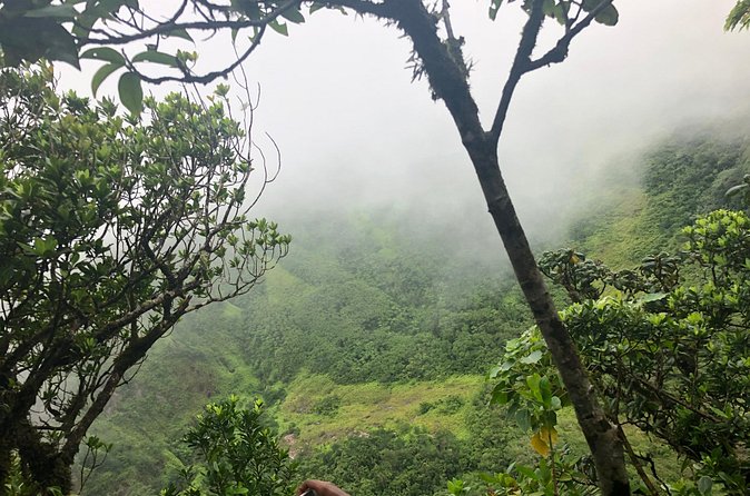 Mount Liamuiga Volcano Tours - FAQ