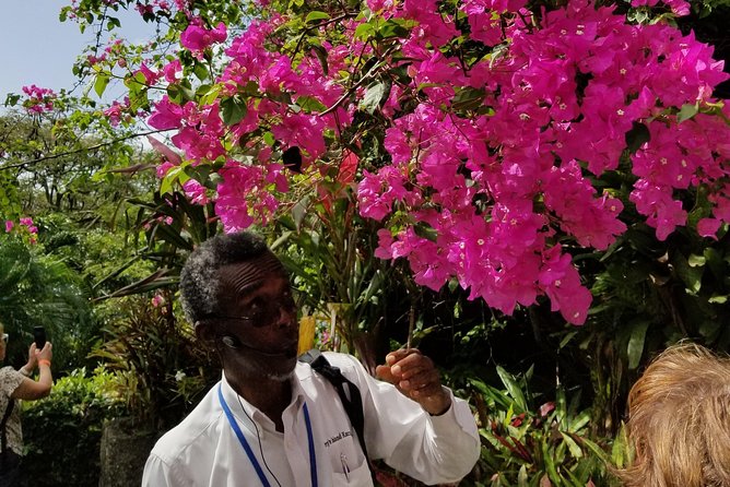 The Grand Tour of St. Kitts - FAQs