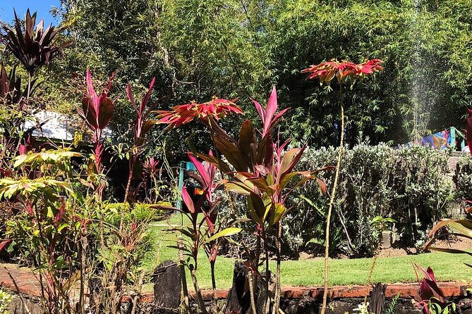 The Grand Tour of St. Kitts - Key Points