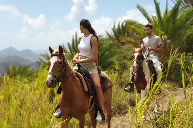 3 Hours Horseback Riding from Nature Trails to Sofa Stone - Who Will Love This Tour?