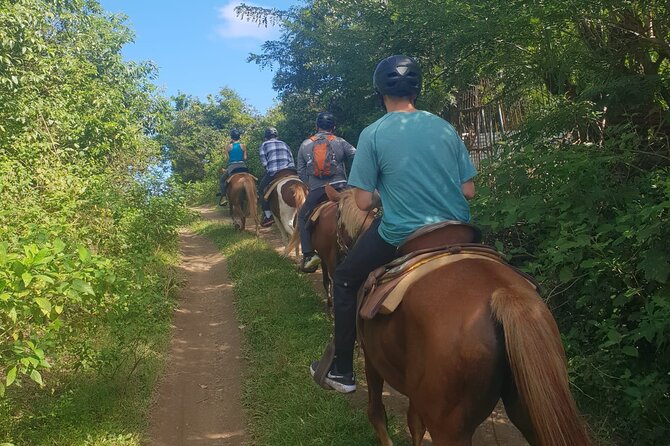 3 Hours Horseback Riding from Nature Trails to Sofa Stone - Analyzing the Cost and Value