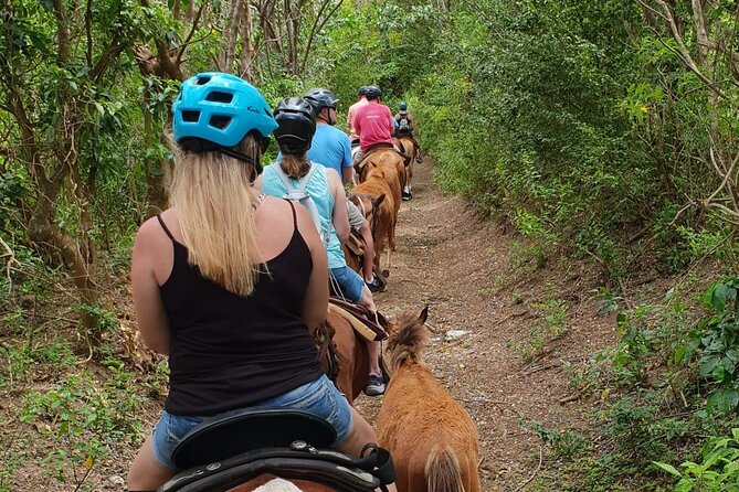 3 Hours Horseback Riding from Nature Trails to Sofa Stone - Experience the Beauty of St. Kitts on a 3-Hour Horseback Ride