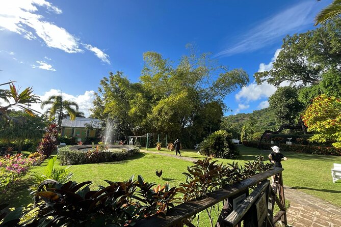 Wingfield Rainforest Hike St Kitts and Romney Manor Adventure - Why This Tour Works for You