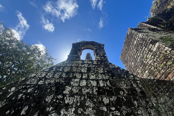 Wingfield Rainforest Hike St Kitts and Romney Manor Adventure - Exploring St. Kitts’ Rainforest and Cultural Heritage