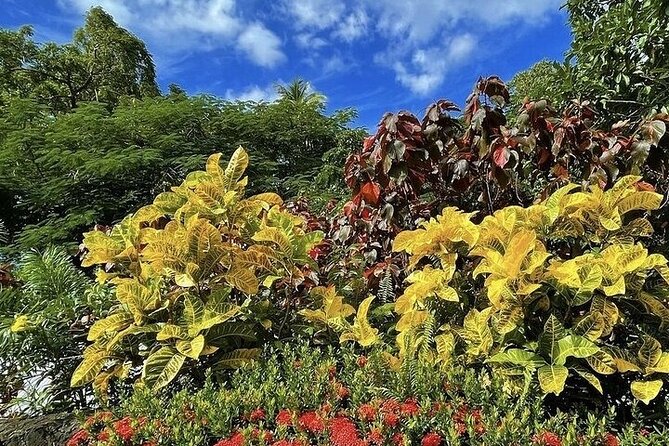 Wingfield Rainforest Adventure Hike and Caribelle Batik stop - Practicalities: What to Expect