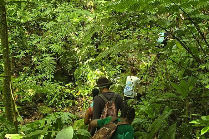 Lawyer Stephens Cave & Waterfalls Hike - The Experience in Detail
