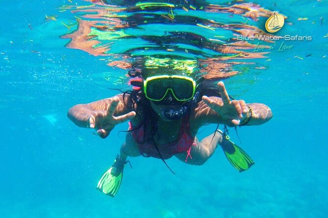 Kayak, Snorkel and Beach Adventure - Final Thoughts: Who Should Consider This Tour?