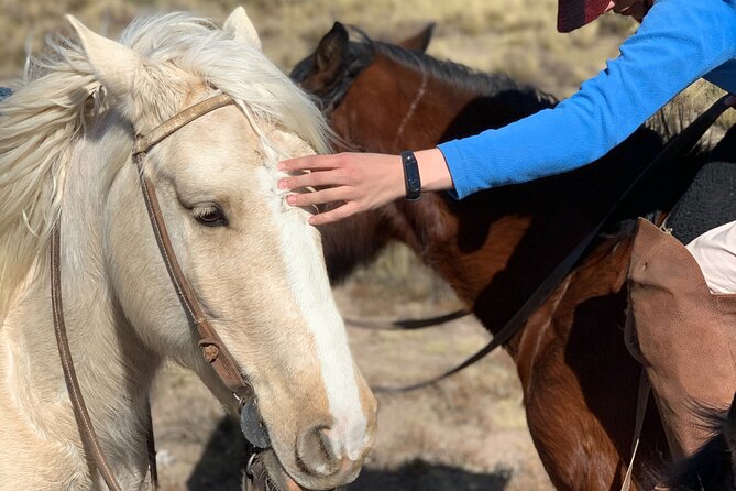 Horseback expedition to The Andes, 2 days. Sleep in the heart of the mountain. - What Makes This Tour Stand Out