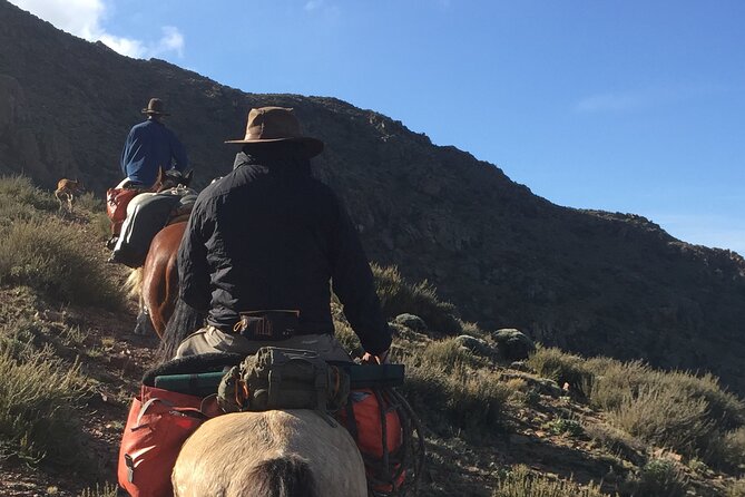 Horseback expedition to The Andes, 2 days. Sleep in the heart of the mountain. - Discover the Andes with a 2-Day Horseback Expedition from Mendoza